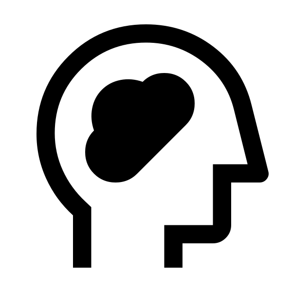 Cognition 2