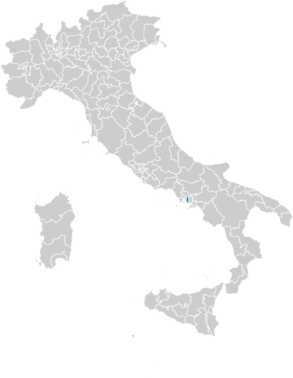 Collegi Elettorali 2022   Camera Uninominali   Campania 1   05