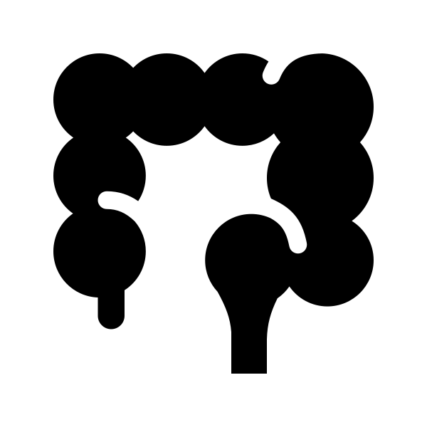 Colon