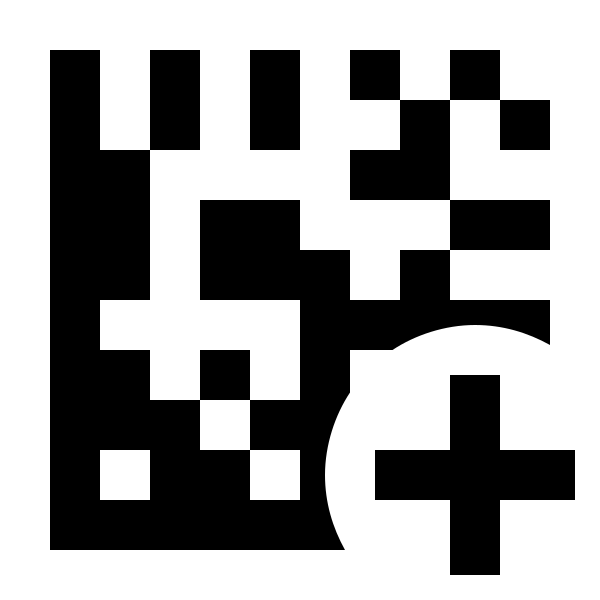 Data Matrix Plus