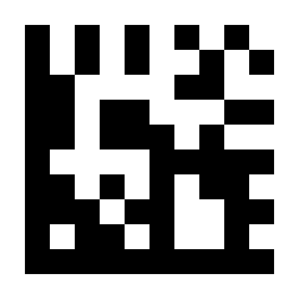 Data Matrix
