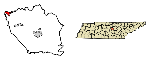 DeKalb County Tennessee Incorporated And Unincorporated Areas Alexandria Highlighted 4700620