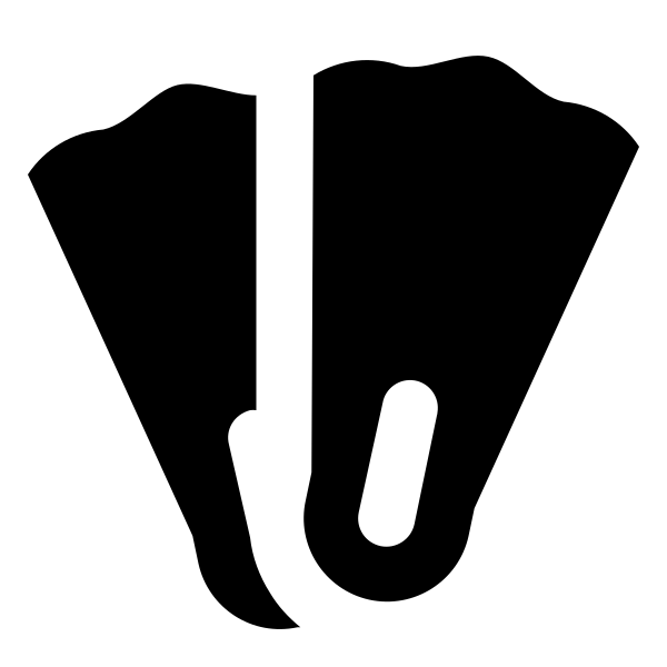 Diving Flippers
