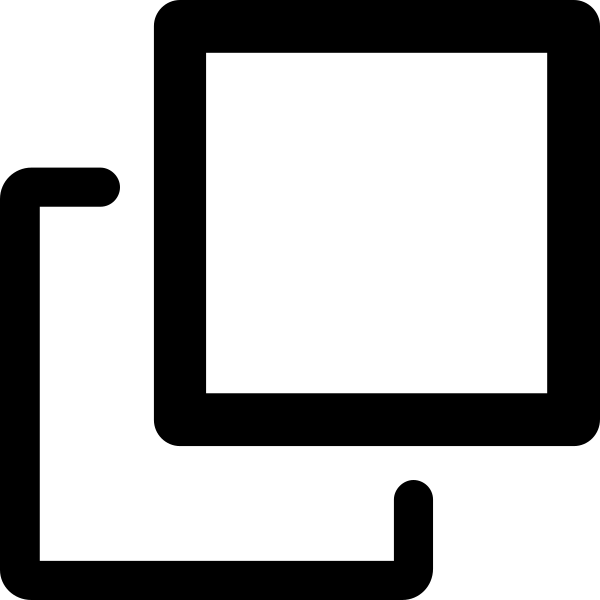 Duplicate Vector