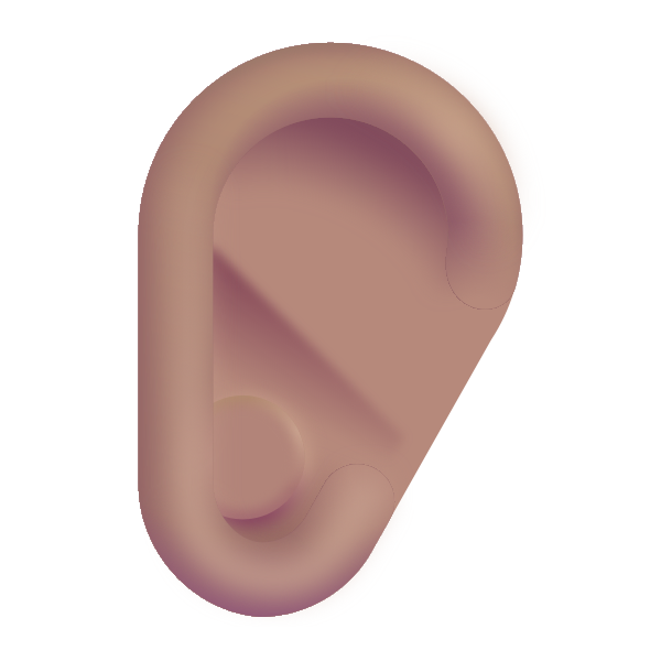Ear Color Medium Vector