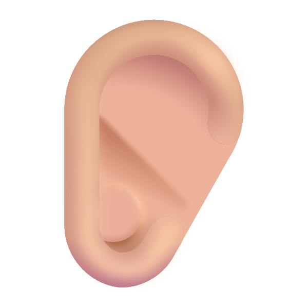 Ear Color Medium Light Vector