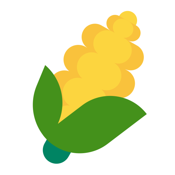 Ear Of Corn Flat Vector