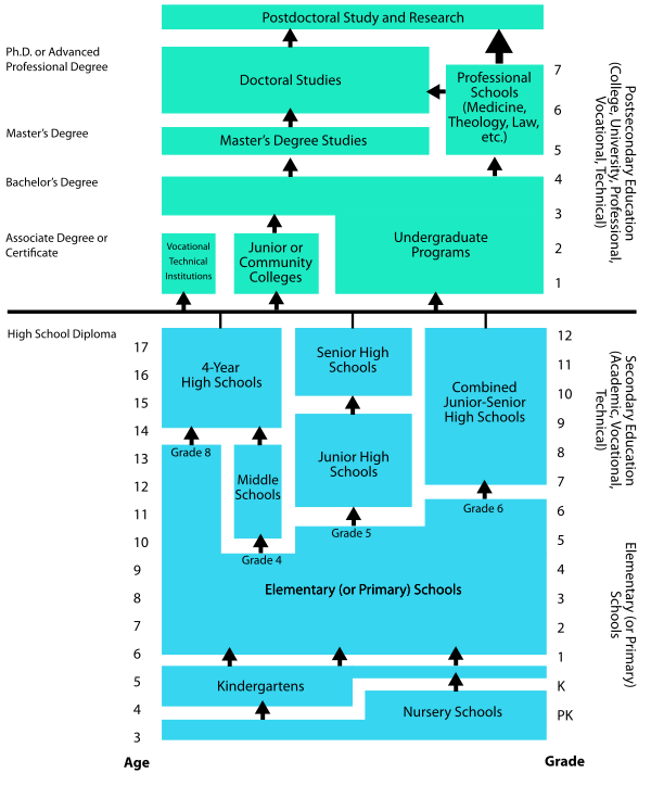 Education In The United States Vector