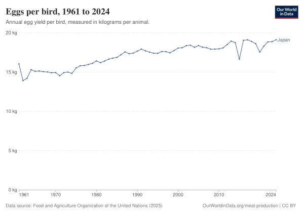 Egg Yield Per Bird, 1961 To 2024, JPN Vector
