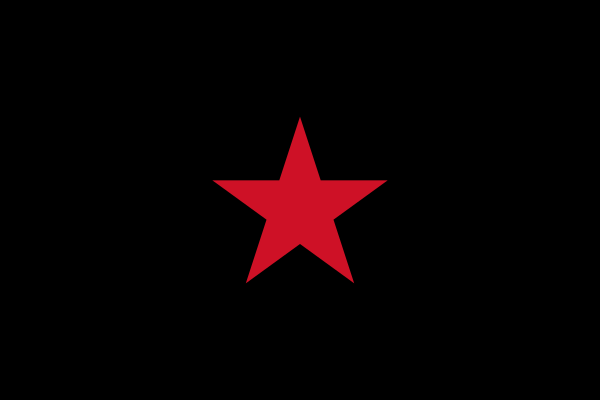 Ejército Zapatista De Liberación Nacional, Flag