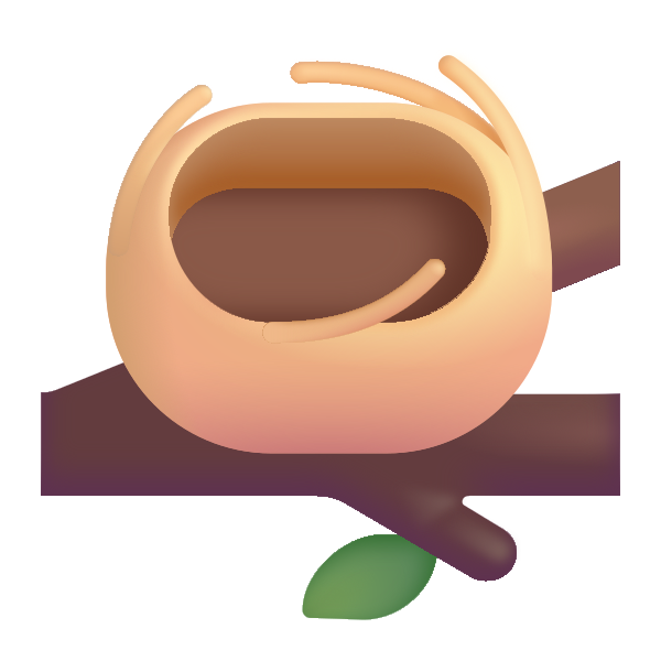 Empty Nest Color Vector