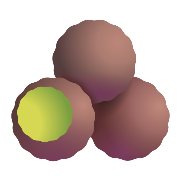 Falafel Color Vector