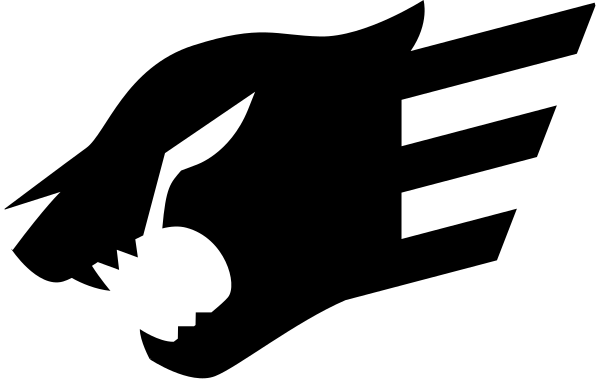 Fastify Vector