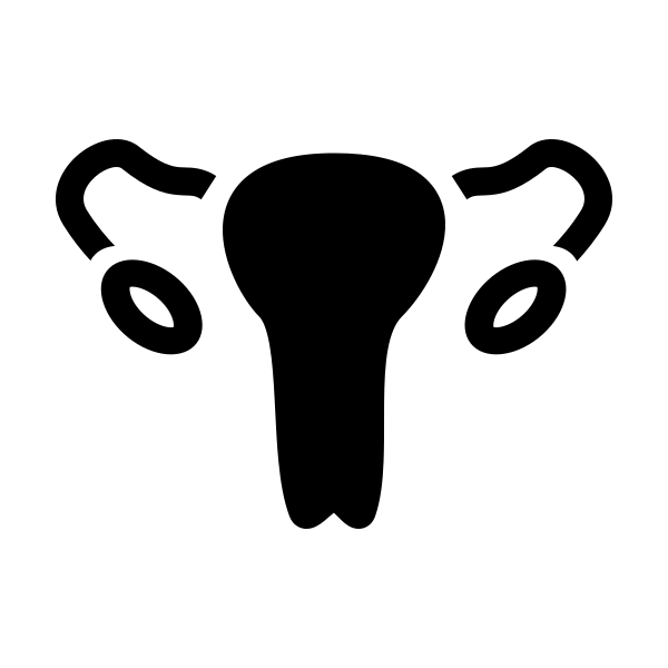 Female Reproductive System