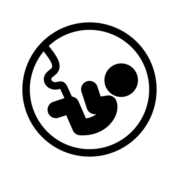 Fetus