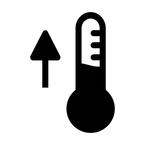 Fever