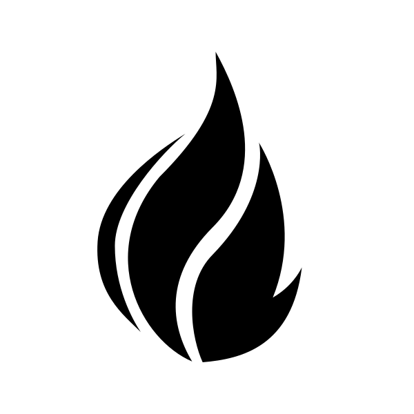 FHIR Logo