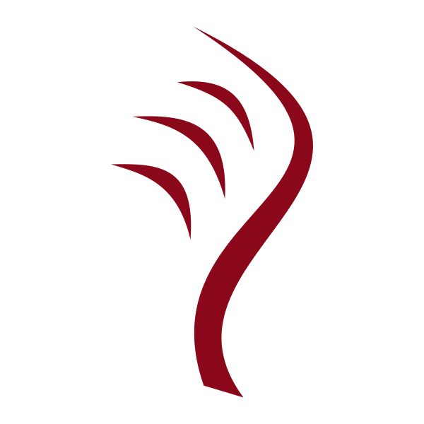 File Type Idris Vector