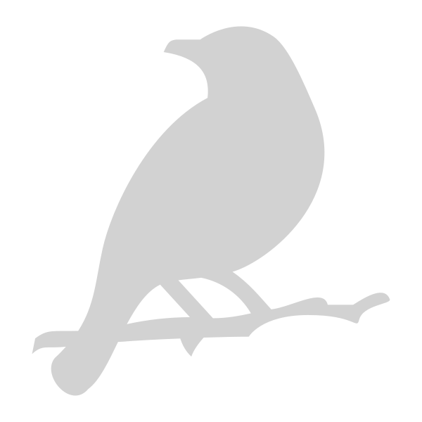 File Type Lark Vector