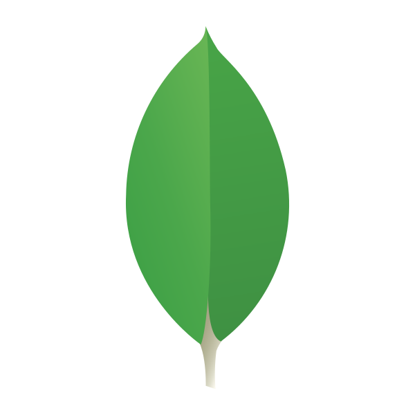 File Type Mongo Vector