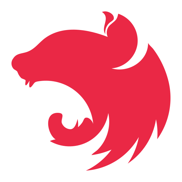 File Type Nestjs