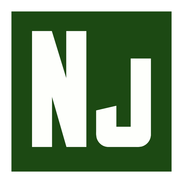 File Type Nunjucks
