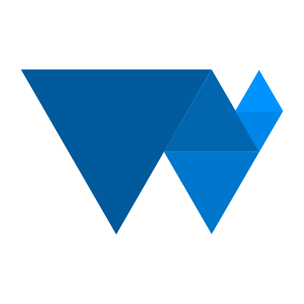 File Type Wgsl Vector