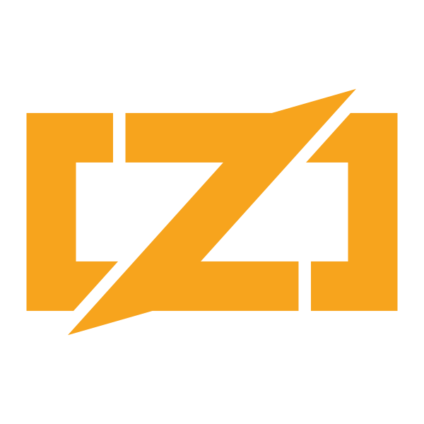 File Type Zig Vector