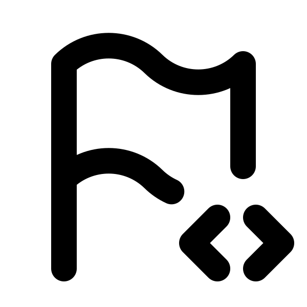 Flag Code