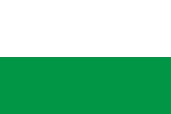 Flag Of Antioquia Department