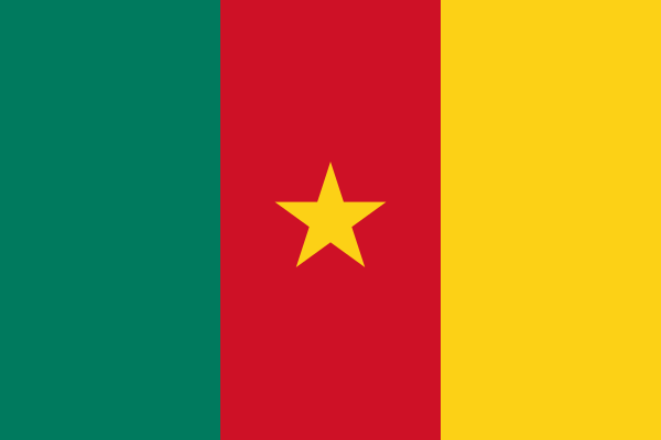 Flag Of Cameroon