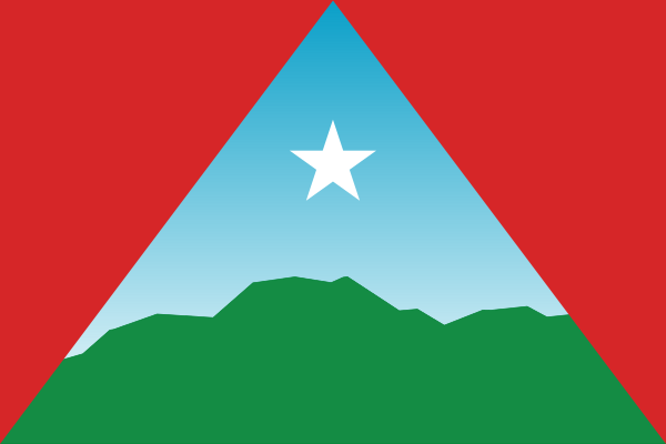 Flag Of Caracas (2022)