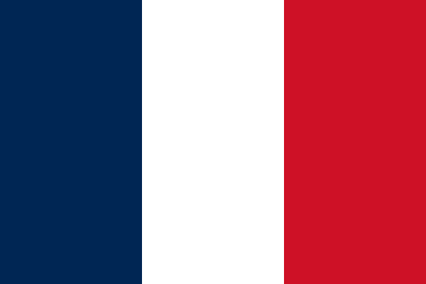 Flag Of France Vector