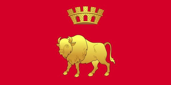 Flag Of Hrodna Voblasts