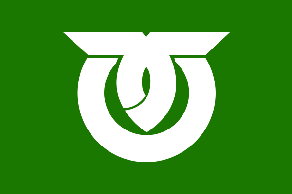 Flag Of Kawakami, Nagano