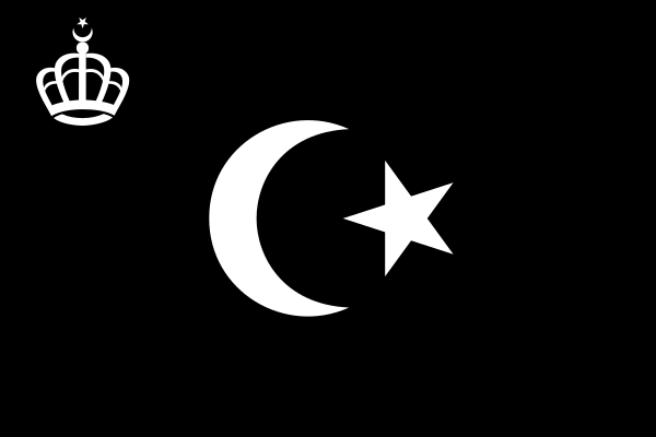 Flag Of King Idris I