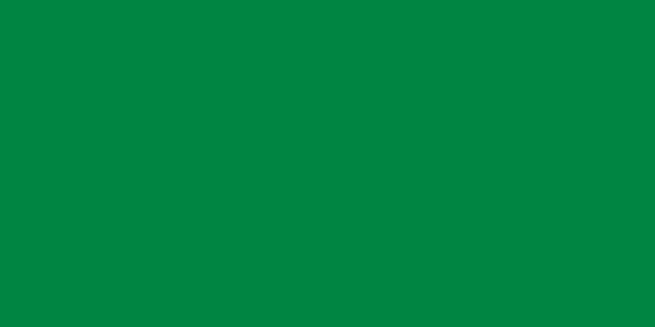 Flag Of Libya (1977–2011)
