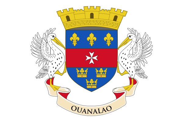 Flag Of Saint Barthélemy (local)