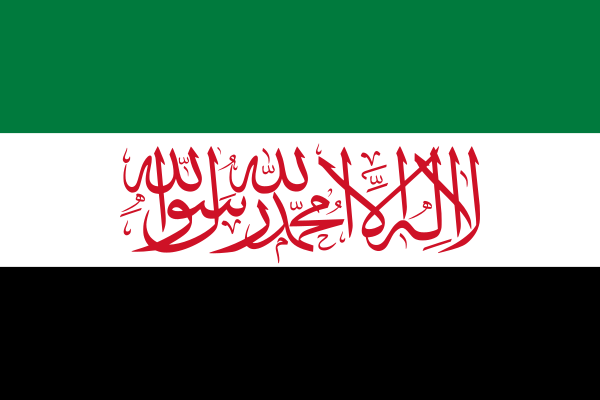 Flag Of The Syrian Salvation Government
