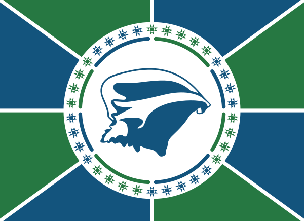 Flag Of The Territorial Collectivity Of Martinique