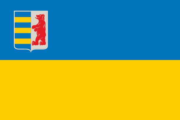 Flag Of Zakarpattia Oblast