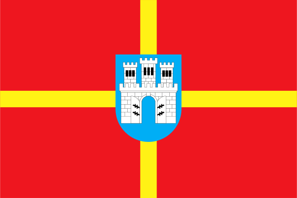 Flag Of Zhytomyr Oblast