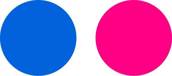 Flickr Icon