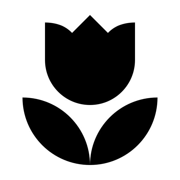 Flower Tulip