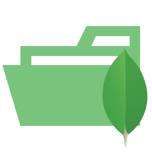 Folder Type Mongodb Opened