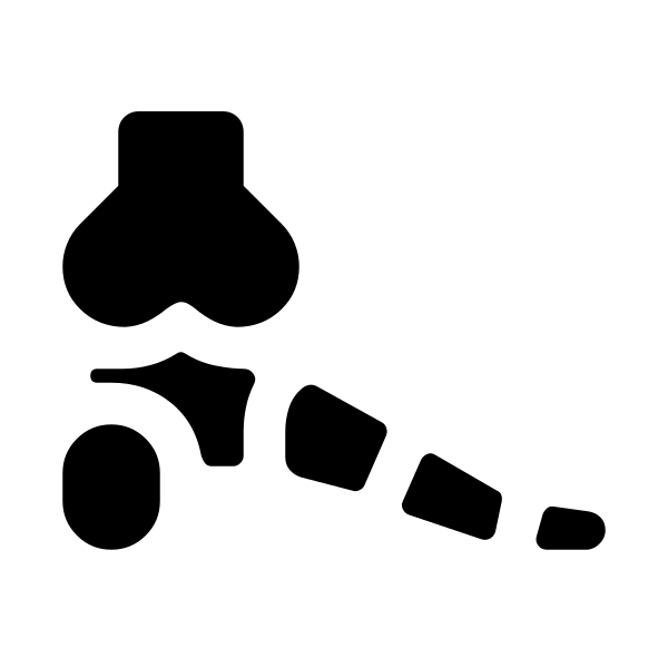 Foot Bones Fill