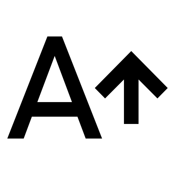 Format Font Size Increase