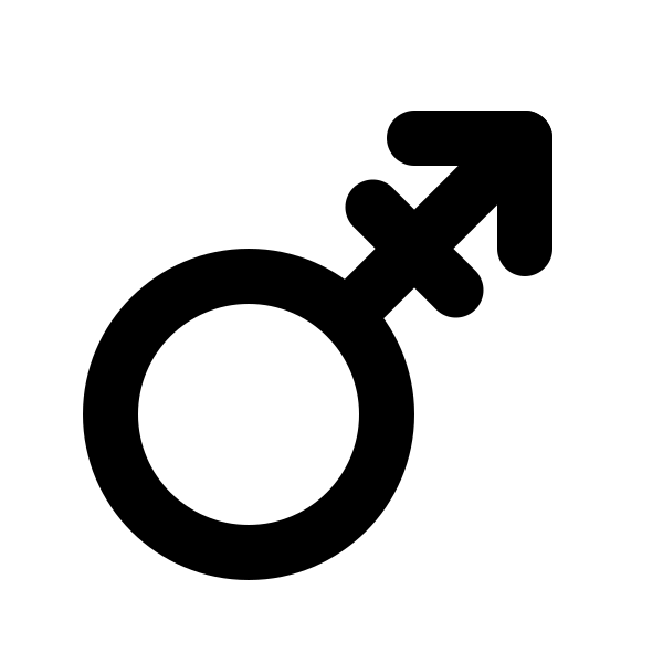 Gender Androgyne