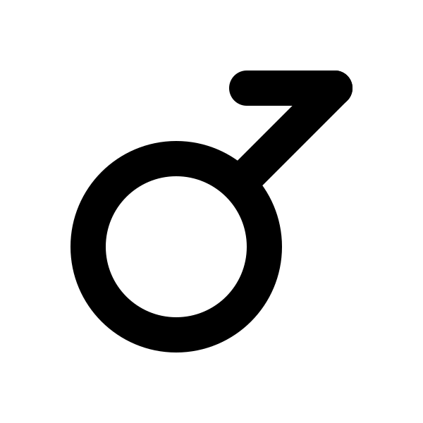 Gender Demiboy