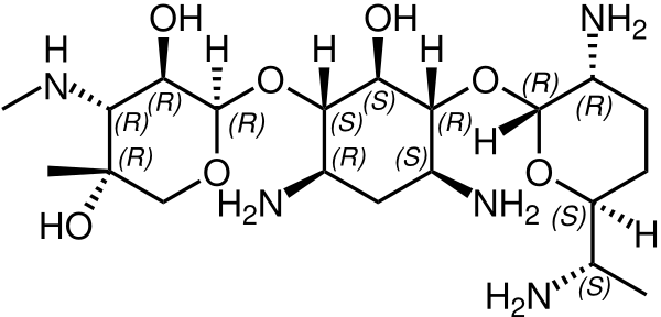 Gentamicin C2a Structure